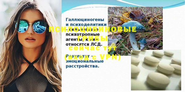 apvp Навашино
