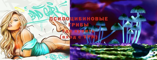 apvp Навашино