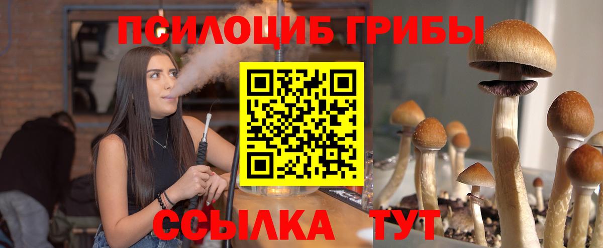 Галлюциногенные грибы Psilocybe  Вход с VPN  Заинск 
