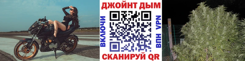 где купить   Заинск  Конопля Ganja 