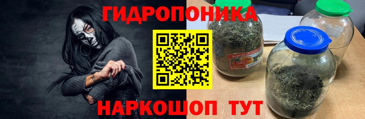 Бошки марихуана марихуана Заинск